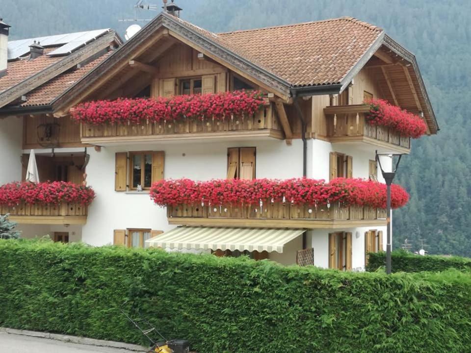 Appartamento Mansarda Patrizia E Franco Val Di Sole คอมเมซซาดูรา ภายนอก รูปภาพ