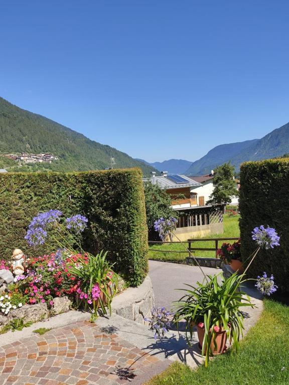 Appartamento Mansarda Patrizia E Franco Val Di Sole คอมเมซซาดูรา ภายนอก รูปภาพ